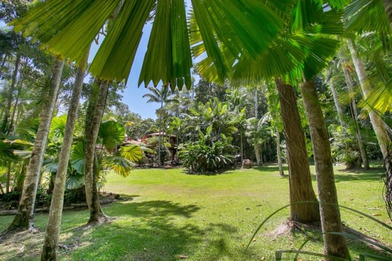 Photo - 47 Butler Drive, Kuranda QLD 4881 - Image 13