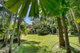 Photo - 47 Butler Drive, Kuranda QLD 4881 - Image 13