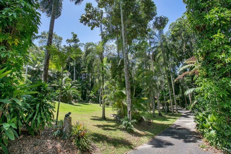 Photo - 47 Butler Drive, Kuranda QLD 4881 - Image 25