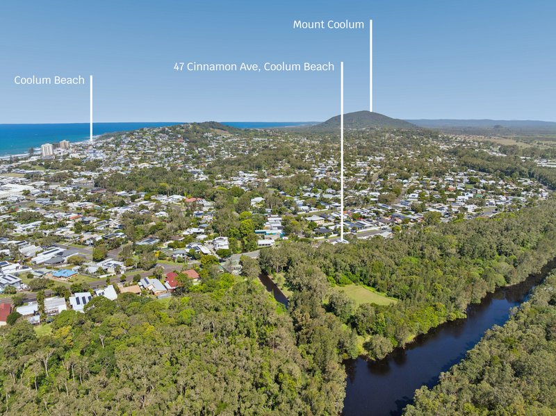 Photo - 47 Cinnamon Avenue, Coolum Beach QLD 4573 - Image 2