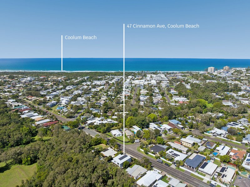 Photo - 47 Cinnamon Avenue, Coolum Beach QLD 4573 - Image 20
