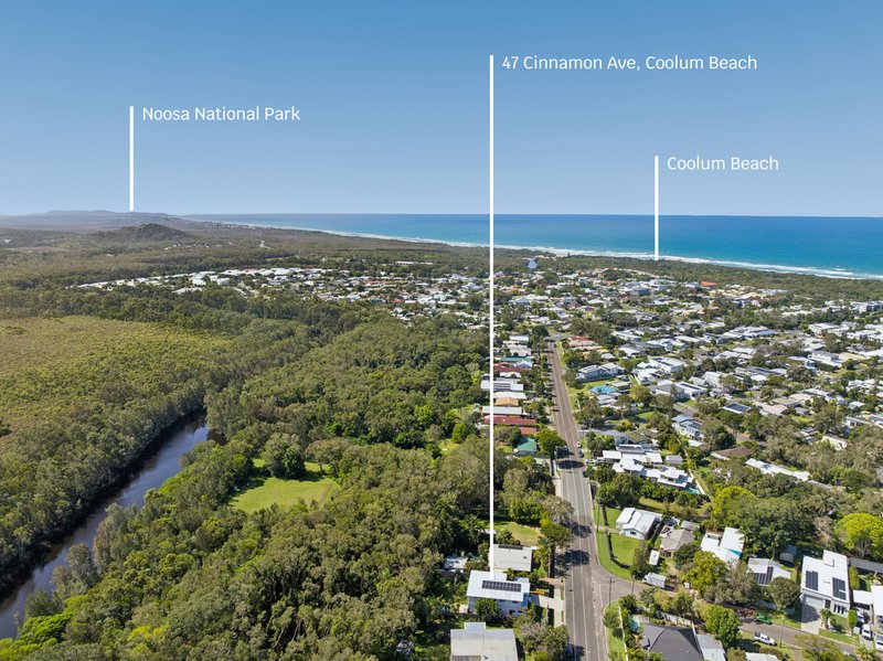 Photo - 47 Cinnamon Avenue, Coolum Beach QLD 4573 - Image 21