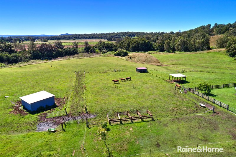 Photo - 47 Crabbet Lane, Imbil QLD 4570 - Image 29