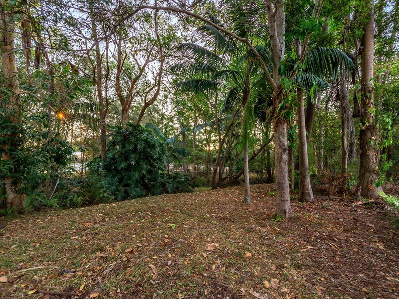 Photo - 47 Devoran Street, Albany Creek QLD 4035 - Image 16