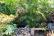 Photo - 47 Dolphin Avenue, Hawks Nest NSW 2324 - Image 22