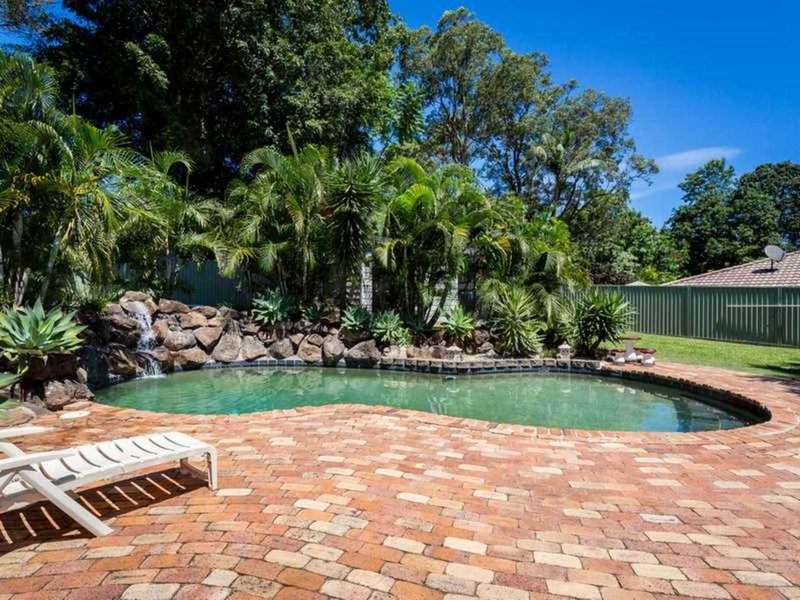 Photo - 47 Dugandan Street, Nerang QLD 4211 - Image 7