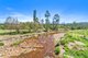 Photo - 47 Gulph Creek Road, Nerrigundah NSW 2545 - Image 12