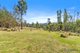 Photo - 47 Gulph Creek Road, Nerrigundah NSW 2545 - Image 16