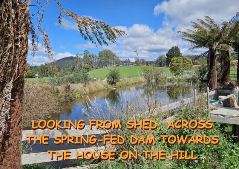 Photo - 47 Haas Road, Legerwood TAS 7263 - Image 4