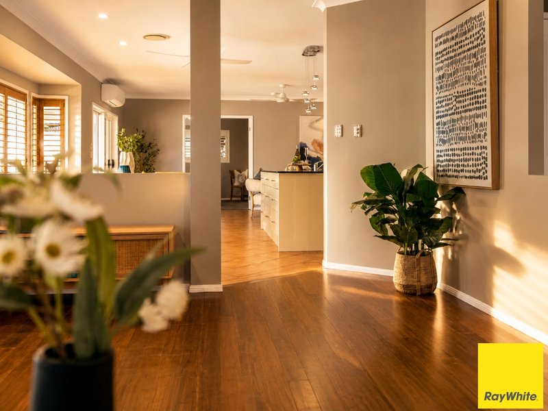 Photo - 47 Herald Street, Bentley Park QLD 4869 - Image 5