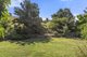 Photo - 47 Hume Park Rd , Good Hope NSW 2582 - Image 15