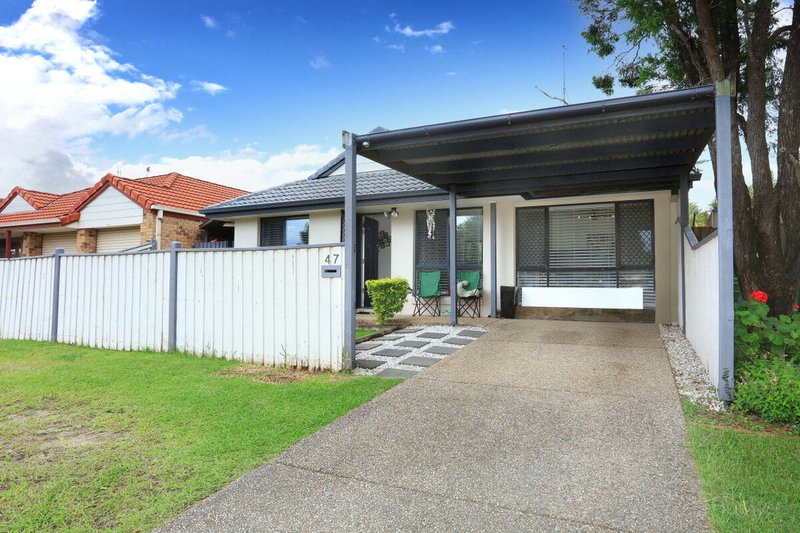 Photo - 47 Leonardo Circuit, Coombabah QLD 4216 - Image 5