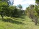 Photo - 47 Lex Creek Road, Crediton QLD 4757 - Image 11