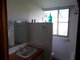 Photo - 47 Lex Creek Road, Crediton QLD 4757 - Image 20