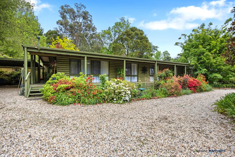 Photo - 47 Mareeba Avenue, Buxton VIC 3711 - Image 5