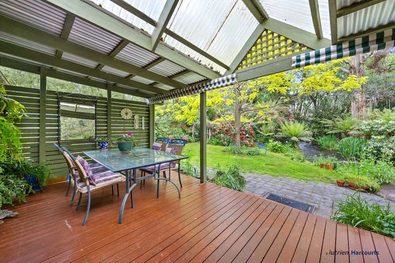 Photo - 47 Mareeba Avenue, Buxton VIC 3711 - Image 18
