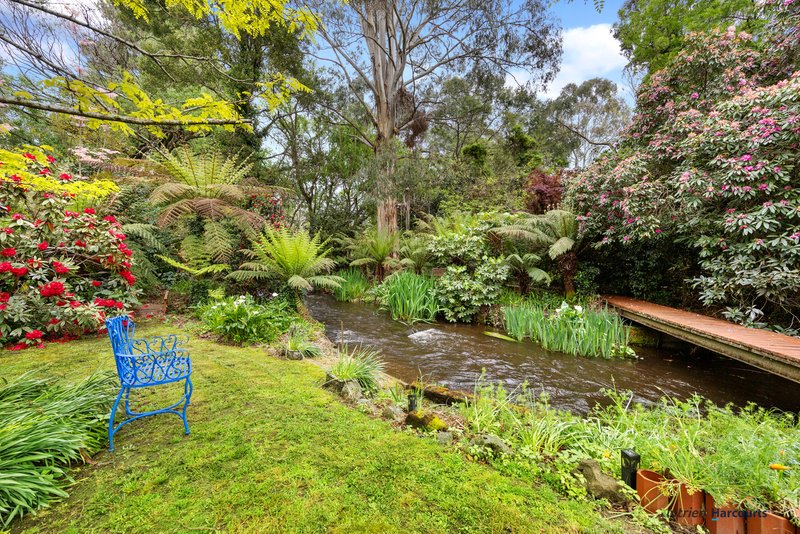 Photo - 47 Mareeba Avenue, Buxton VIC 3711 - Image 19