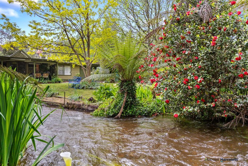 Photo - 47 Mareeba Avenue, Buxton VIC 3711 - Image 20
