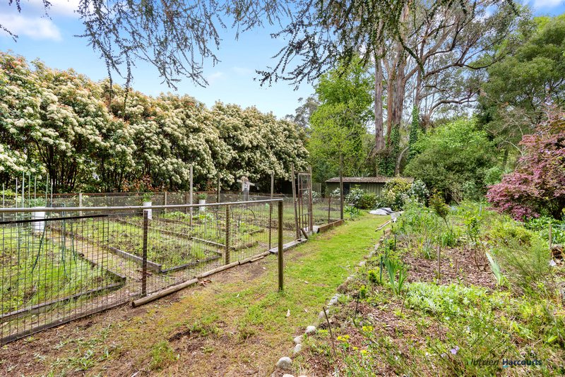 Photo - 47 Mareeba Avenue, Buxton VIC 3711 - Image 22