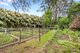 Photo - 47 Mareeba Avenue, Buxton VIC 3711 - Image 22