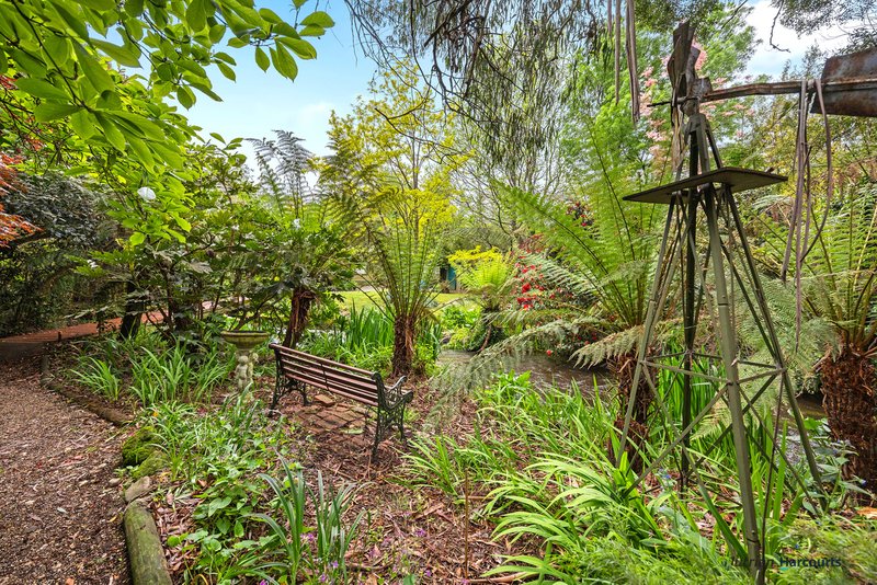 Photo - 47 Mareeba Avenue, Buxton VIC 3711 - Image 23
