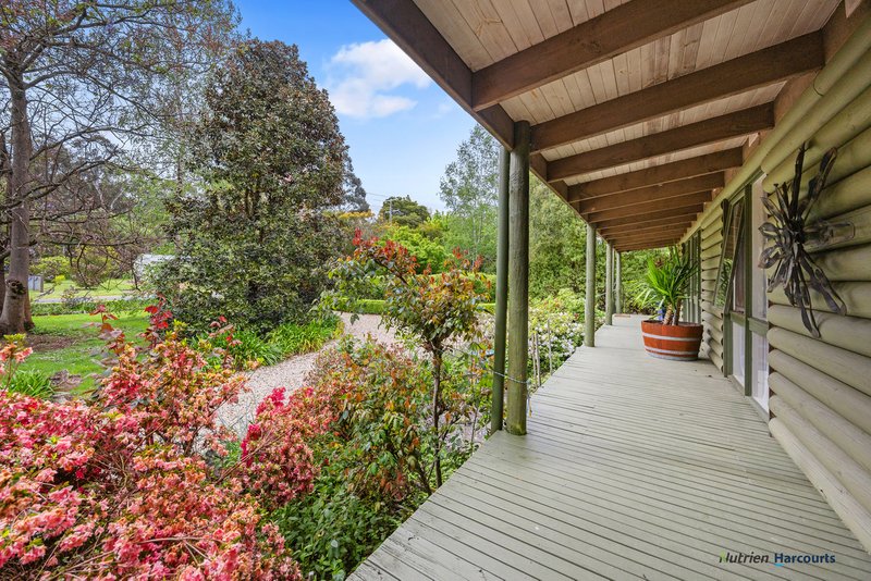 Photo - 47 Mareeba Avenue, Buxton VIC 3711 - Image 24