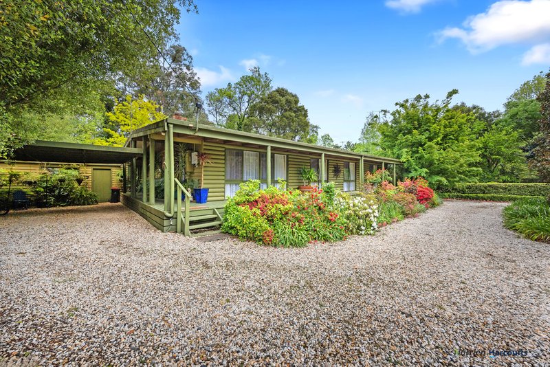 Photo - 47 Mareeba Avenue, Buxton VIC 3711 - Image 25
