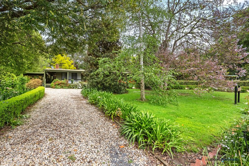 Photo - 47 Mareeba Avenue, Buxton VIC 3711 - Image 26