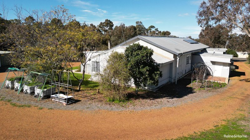 Photo - 47 Newstead Road, Kojonup WA 6395 - Image 7