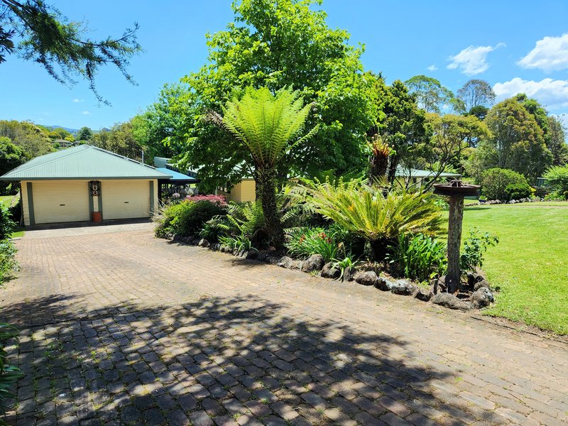 47 Old Coramba Road South, Dorrigo NSW 2453