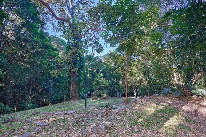 Photo - 47 Silkwood Avenue, Kuranda QLD 4881 - Image 11