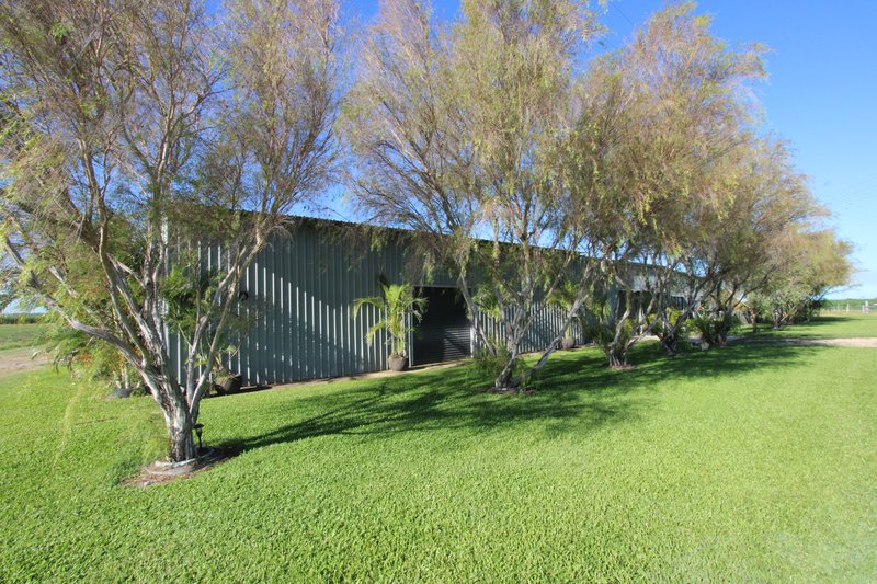 Photo - 47 Soldier Road, Rita Island QLD 4807 - Image 15