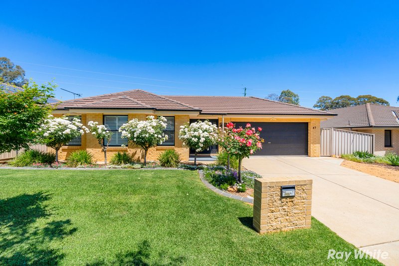 47 Swan Street, Ashmont NSW 2650