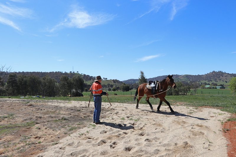 Photo - 47 Sylvias Gap Road, Gundagai NSW 2722 - Image 20