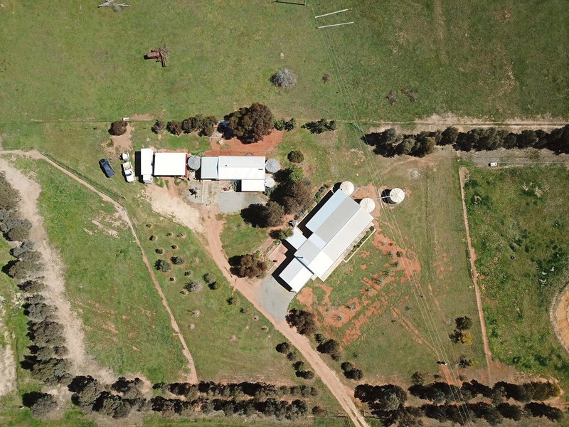 Photo - 47 Sylvias Gap Road, Gundagai NSW 2722 - Image 25