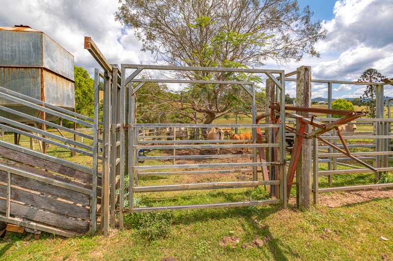 Photo - 47 Tamlyn Road, Kenilworth QLD 4574 - Image 14