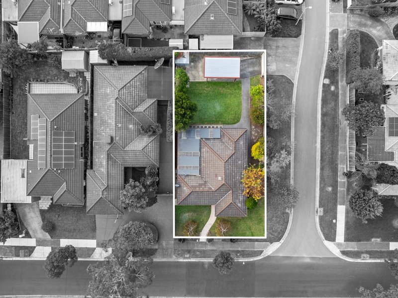 Photo - 47 Terama Crescent, Bayswater VIC 3153 - Image 15