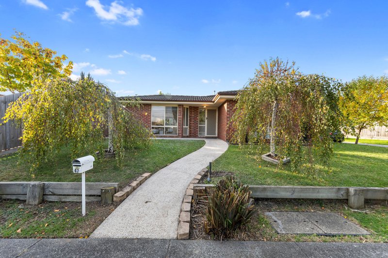 Photo - 47 Terama Crescent, Bayswater VIC 3153 - Image 26