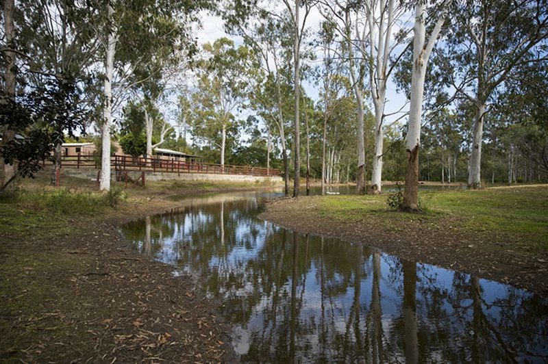 Photo - 47 Williams Road, Burua QLD 4680 - Image 7