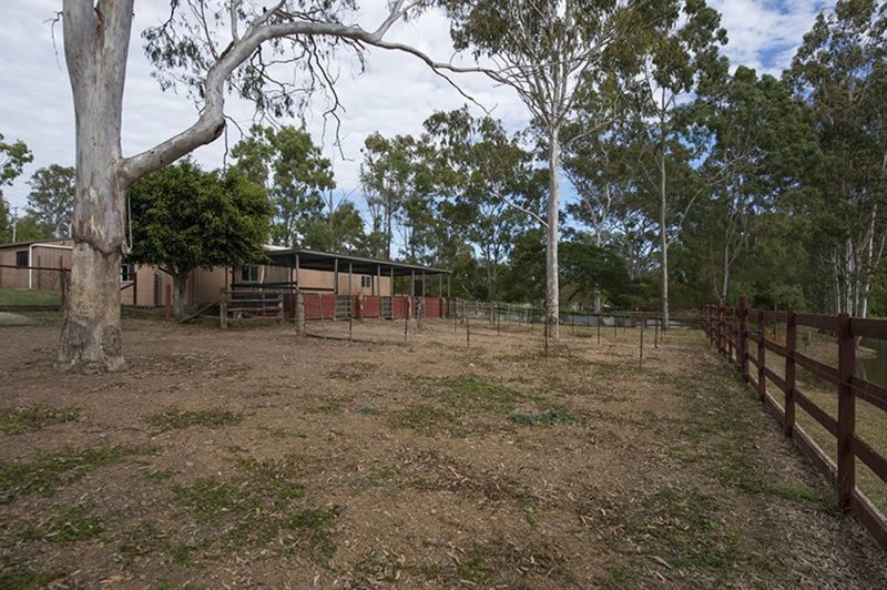 Photo - 47 Williams Road, Burua QLD 4680 - Image 10