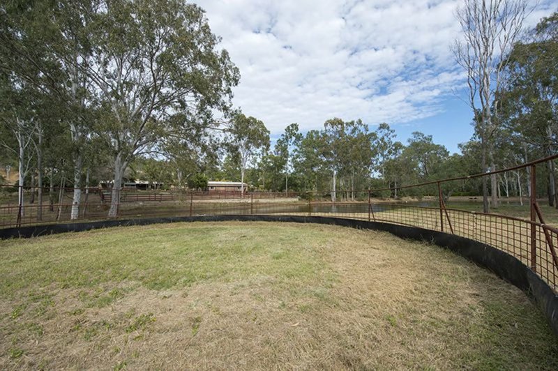 Photo - 47 Williams Road, Burua QLD 4680 - Image 12