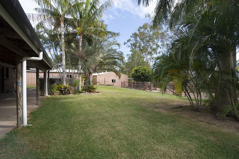 Photo - 47 Williams Road, Burua QLD 4680 - Image 15