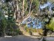 Photo - 47 Williams Road, Randalls Bay TAS 7112 - Image 5