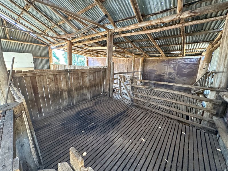 Photo - 470 Batlow Road, Tumbarumba NSW 2653 - Image 20