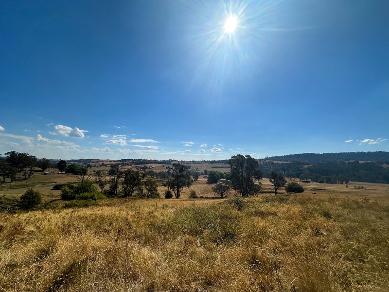 Photo - 470 Batlow Road, Tumbarumba NSW 2653 - Image 25