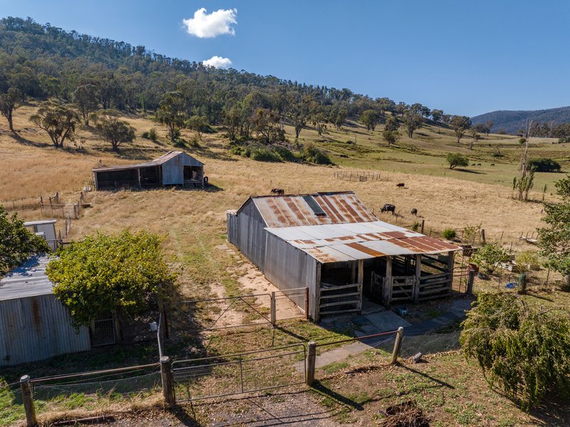 Photo - 470 Batlow Road, Tumbarumba NSW 2653 - Image 33