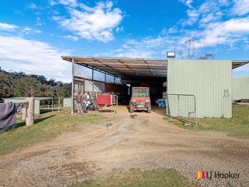 Photo - 470 Larrys Mountain Road, Mogendoura NSW 2537 - Image 14