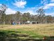 Photo - 470 Larrys Mountain Road, Mogendoura NSW 2537 - Image 19