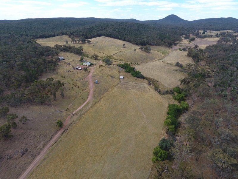 Photo - 470 Yambira Road, Grenfell NSW 2810 - Image 10