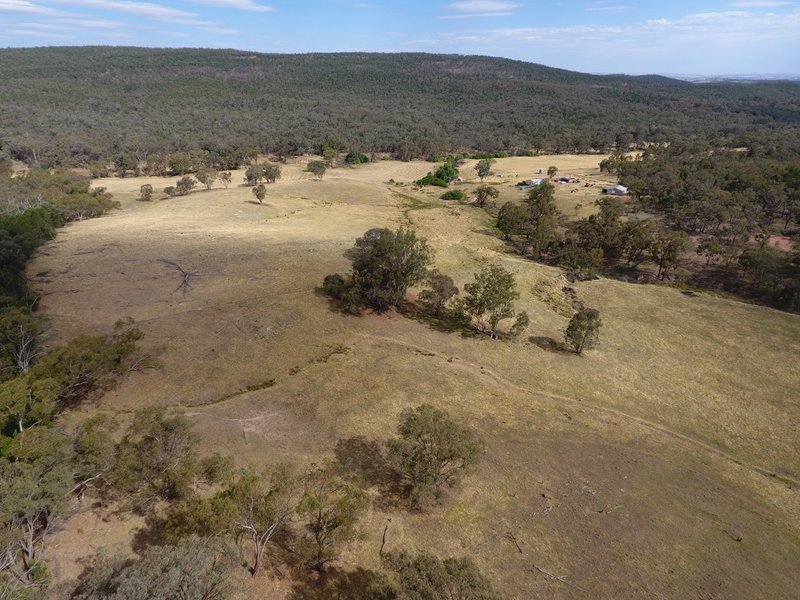 Photo - 470 Yambira Road, Grenfell NSW 2810 - Image 14